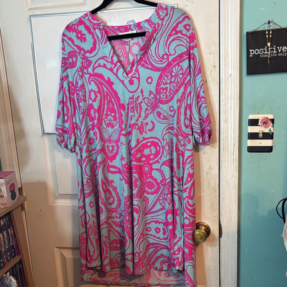 On The Land Size Large Pink and Blue Paisley Dress
